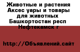 Животные и растения Аксесcуары и товары для животных. Башкортостан респ.,Нефтекамск г.